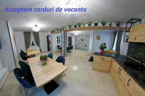 Bucovina Holidays Sadova Câmpulung Moldovenesc